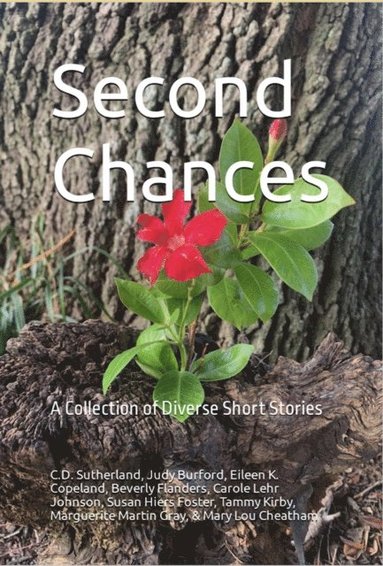 Second Chances (hftad)