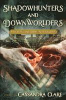 Shadowhunters and Downworlders (hftad)
