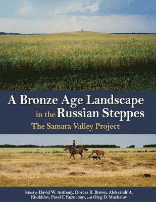 A Bronze Age Landscape in the Russian Steppes (inbunden)