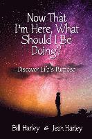 Now That I'm Here, What Should I Be Doing?: Discover Life's Purpose (häftad)