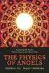 Physics of Angels