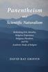 Panentheism and Scientific Naturalism