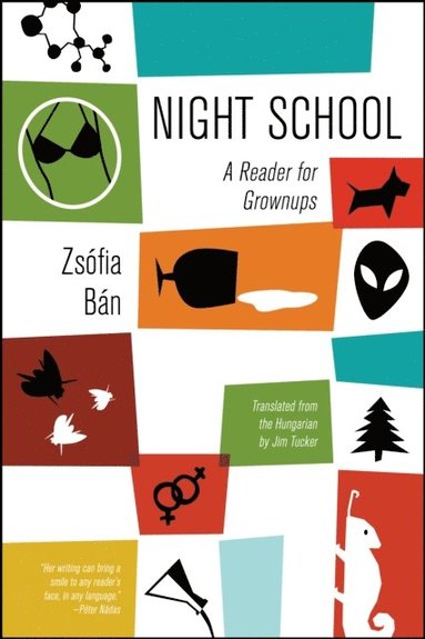 Night School (e-bok)