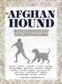 Afghan Hound