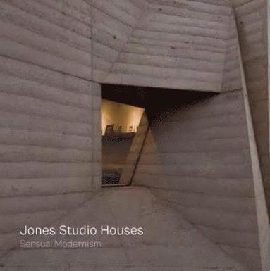 Jones Studio Houses (inbunden)