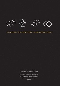 History, Big History, & Metahistory (inbunden)