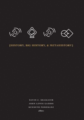 History, Big History, & Metahistory (inbunden)