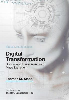 Digital Transformation (kartonnage)