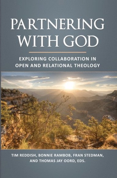 Partnering with God (häftad)