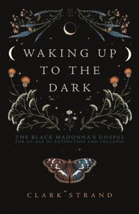 Waking Up to the Dark (e-bok)