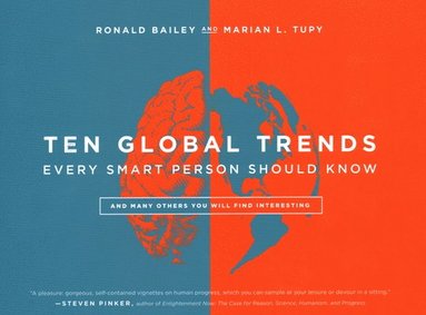 Ten Global Trends Every Smart Person Should Know (häftad)