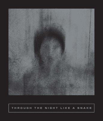 Through the Night Like a Snake: Latin American Horror Stories (häftad)