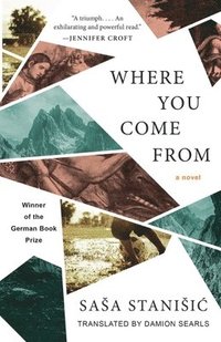 Where You Come from (häftad)