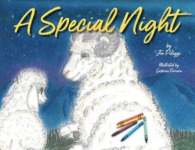 A Special Night: a Christmas coloring book (h�ftad)