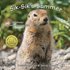 Sik-Sik's Summer: An Arctic Ground Squirrel Tale