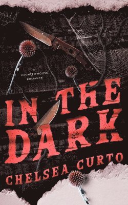 In The Dark (h�ftad)