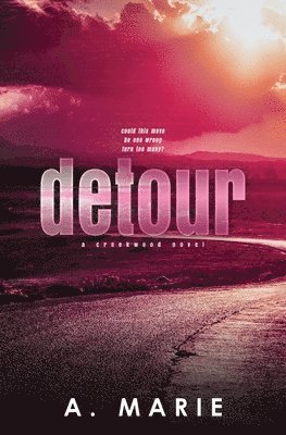 Detour Discreet Cover (häftad)