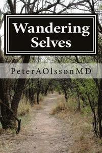 Wandering Selves: Short Stories by Peter Olsson MD (hftad)