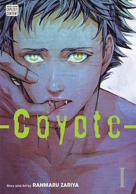 Coyote, Vol. 1 (häftad)