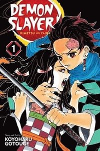 Demon Slayer: Kimetsu no Yaiba, Vol. 1 (hftad)
