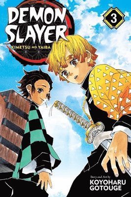 Demon Slayer: Kimetsu no Yaiba, Vol. 3: Volume 3 (hftad)
