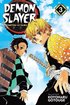 Demon Slayer: Kimetsu no Yaiba, Vol. 3: Volume 3