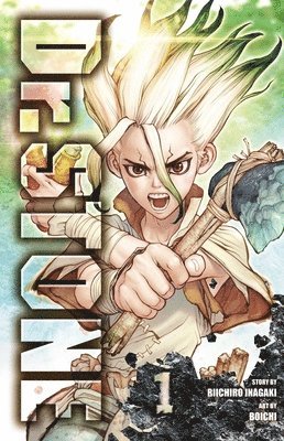 Dr. STONE, Vol. 1 (h�ftad)