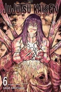Jujutsu Kaisen, Vol. 6 (hftad)