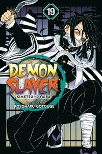 Demon Slayer: Kimetsu no Yaiba, Vol. 19 (häftad)