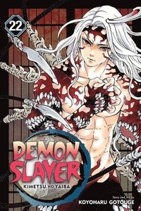 Demon Slayer: Kimetsu no Yaiba, Vol. 22 (häftad)