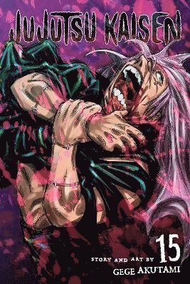 Jujutsu Kaisen, Vol. 15 (hftad)