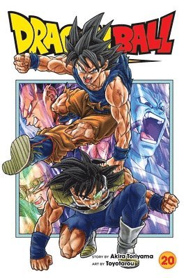Dragon Ball Super, Vol. 20 (hftad)
