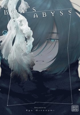 Boy's Abyss, Vol. 8 (hftad)