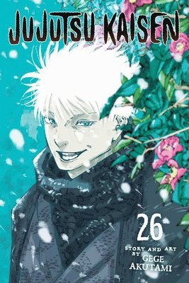 Jujutsu Kaisen, Vol. 26 (hftad)
