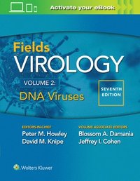 Fields Virology: DNA Viruses (inbunden)