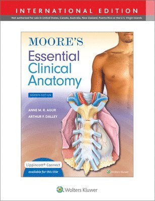 Moore's Essential Clinical Anatomy (inbunden)