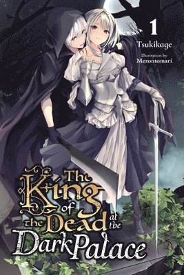 King of the Dead at the Dark Palace, Vol. 1 (light novel) (häftad)