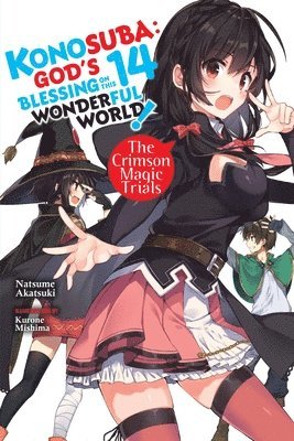 Konosuba: God's Blessing on This Wonderful World!, Vol. 14 (light novel) (hftad)