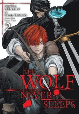 Wolf Never Sleeps, Vol. 2 (häftad)