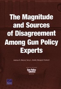 The Magnitude and Sources of Disagreement Among Gun Policy Experts (häftad)