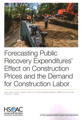 Forecasting Public Recovery Expenditures' Effect on Construction Prices and the Demand for Construction Labor (hftad)