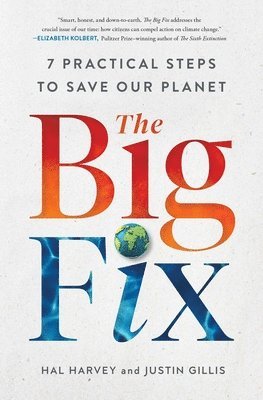 Big Fix (inbunden)