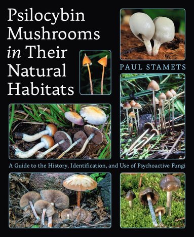 Psilocybin Mushrooms in Their Natural Habitats (h�ftad)