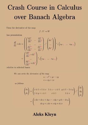 Crash Course in Calculus over Banach Algebra (inbunden)