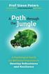 A Path through the Jungle