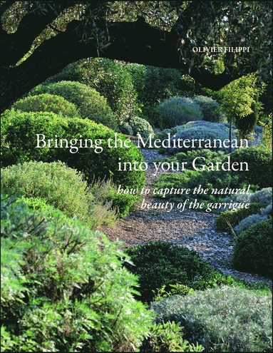 Bringing the Mediterranean into your Garden (inbunden)