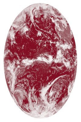 Tools for Extinction (häftad)