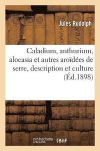 Caladium, Anthurium, Alocasia Et Autres Aroidees de Serre, Description Et Culture (hftad)