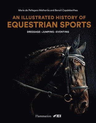 An Illustrated History of Equestrian Sports (inbunden)