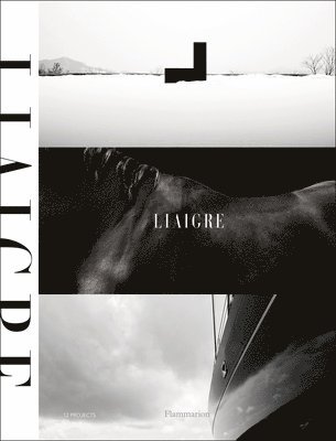 Liaigre: 12 Projects (häftad)
